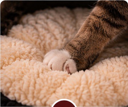 Close-up of the plush interior